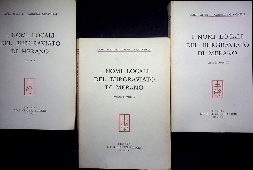 I nomi locali del burgraviato di Merano: volume I (parte …