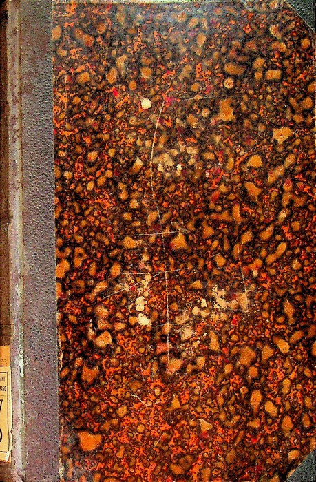 Il bastone che parla: (memoria di un pellegrino a Roma).