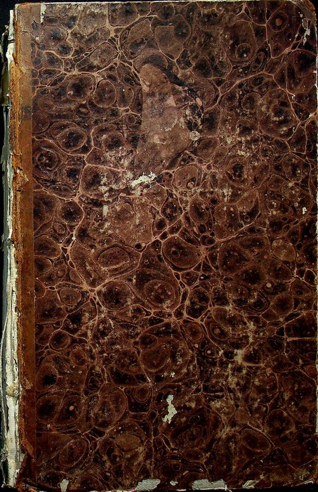 Il costume antico e moderno ovvero storia del governo, della …