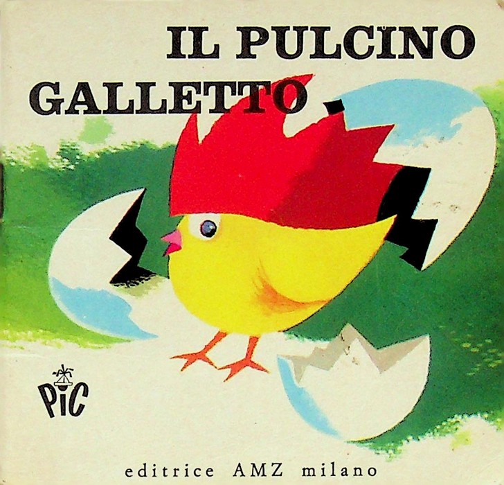 Il pulcino galletto.