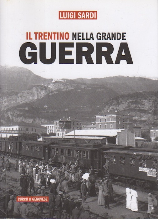 Il Trentino nella Grande guerra.