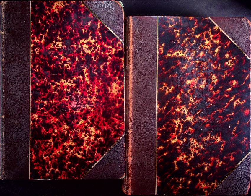 L'histoire de France depuis les temps les plus reculÃ©s jusqu'en …