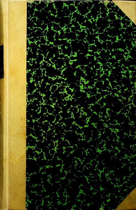 La Regola dei Frati minori esposta praticamente.