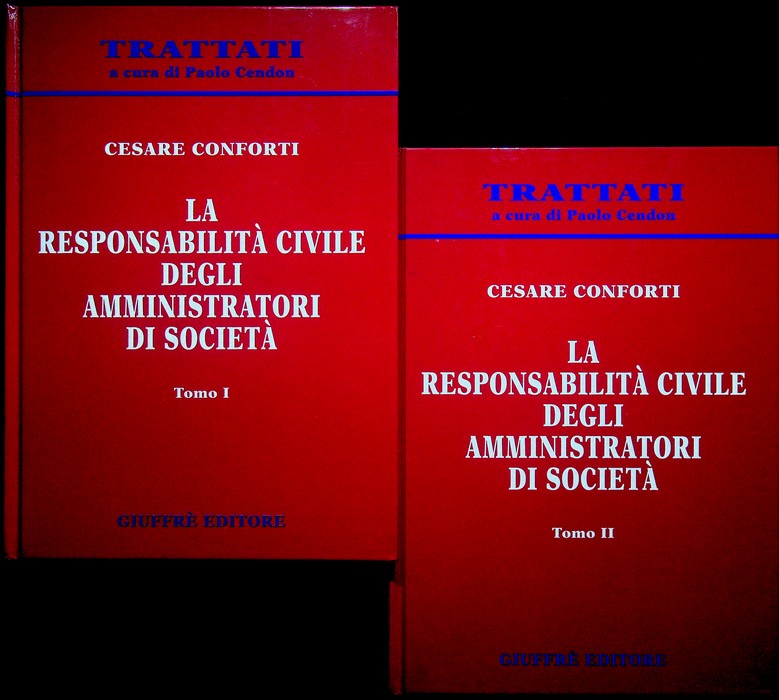 La responsabilitÃ civile degli amministratori di societÃ .