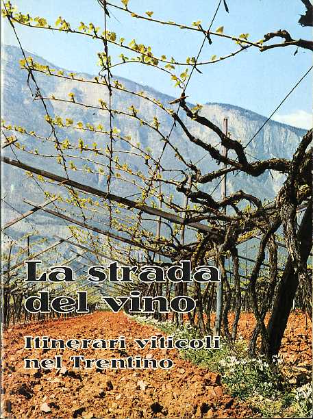 La strada del vino: itinerari viticoli nel Trentino.