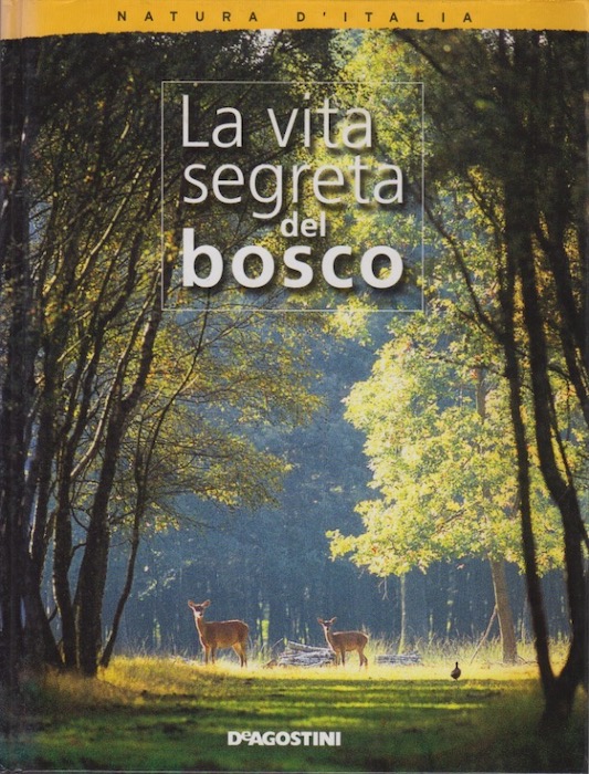 La vita segreta del bosco.