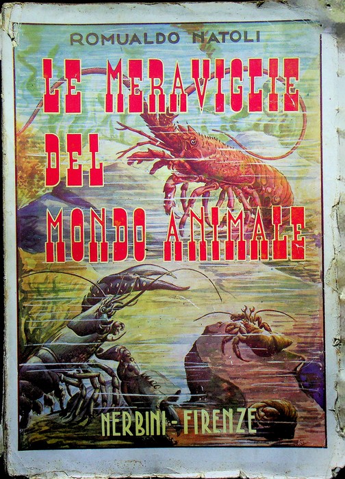 Le meraviglie del mondo animale.