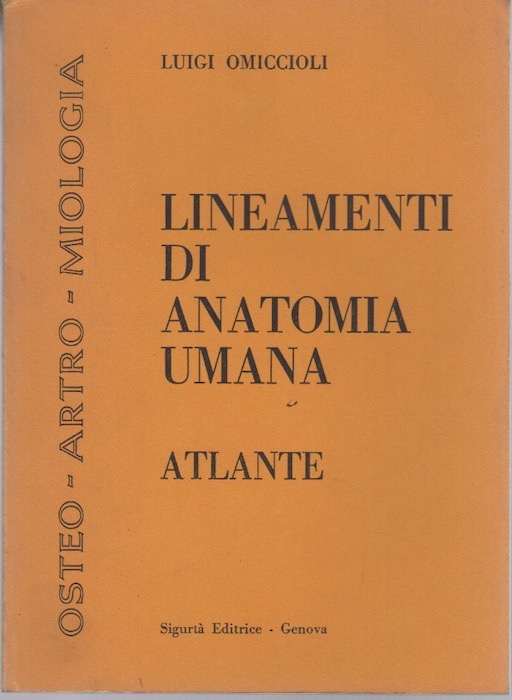 Lineamenti di anatomia umana: atlante.