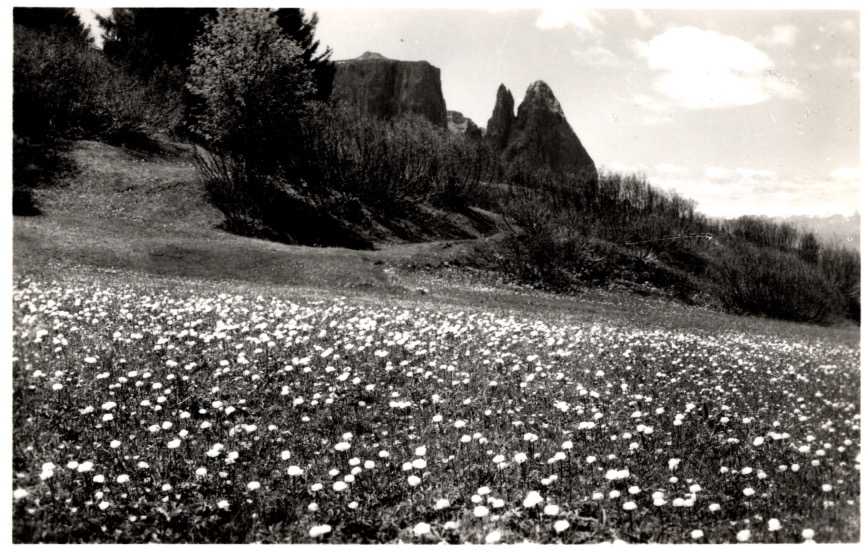 Lo Scillar m. 2561 dall'Alpe di Siusi - Dolomiti.