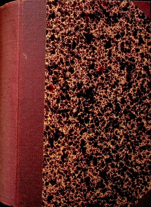 Lo spirito del Terz'Ordine Francescano.