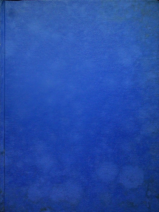 Milizie ed eserciti d'Italia.