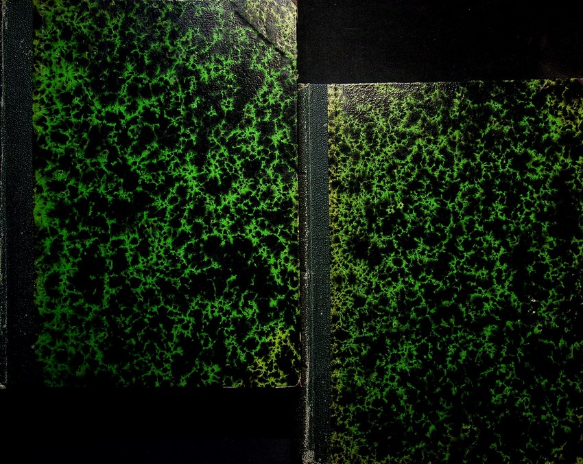 Nuova raccolta di 100 vedutine antiche della cittÃ di Roma …