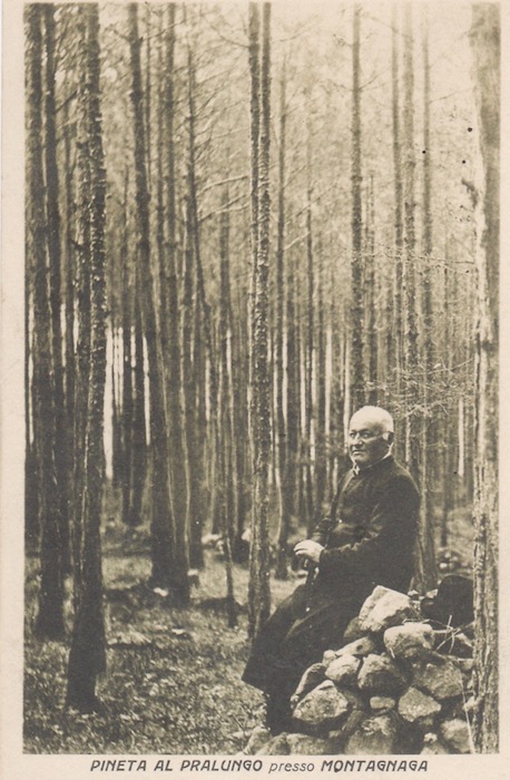 Pineta al Pralungo presso Montagnaga.