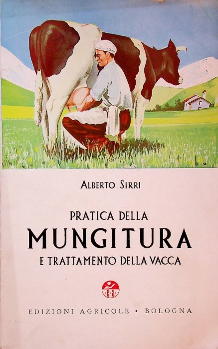 Pratica della mungitura e trattamento della vacca.