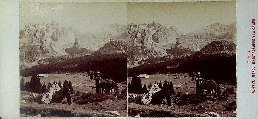 SÃ¼d-Tirol. NÃ¶rdl Brentagruppe Vom Campo. N. 4949.