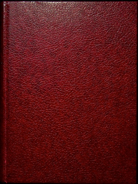 Saggi sull'idealismo magico.