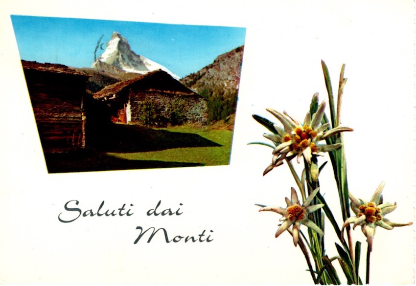 Saluti dai Monti. Baita Bambi, Monte Velo - alt. m. …