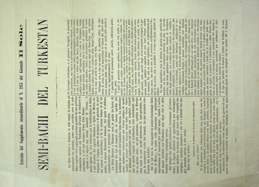 Semi-bachi del Turkestan.