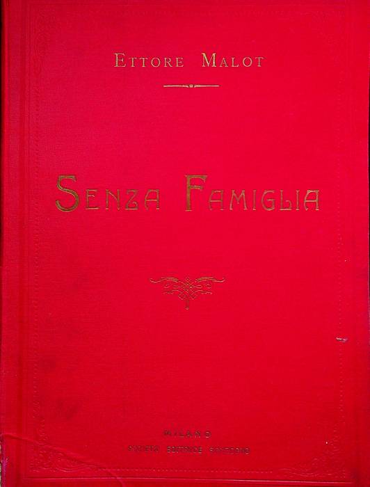 Senza famiglia: romanzo.