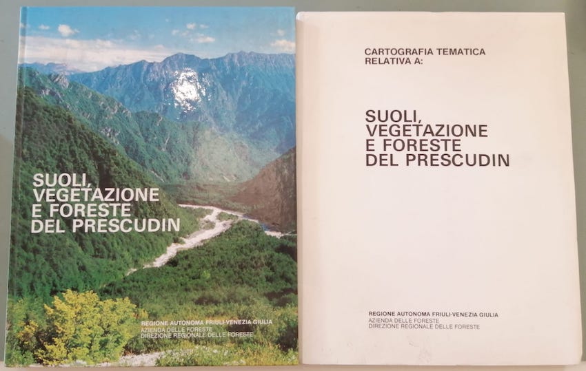 Suoli, vegetazione e foreste del Prescudin.