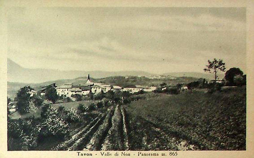 Tavon - Valle di Non - Panorama m. 865.