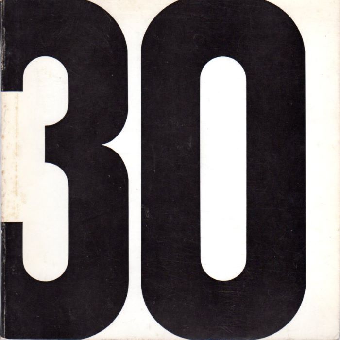 Trenta artisti contemporanei.