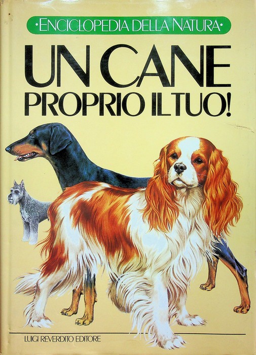 Un cane proprio il tuo.