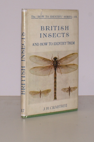 British Insects and how to identity them.