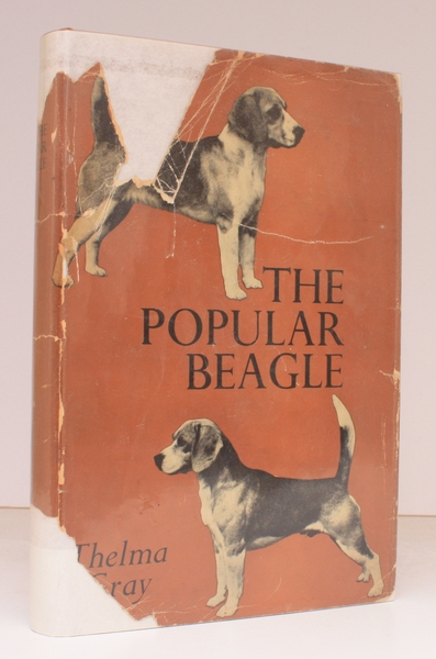 The Popular Beagle. BRIGHT, CLEAN COPY IN UNCLIPPED DUSTWRAPPER