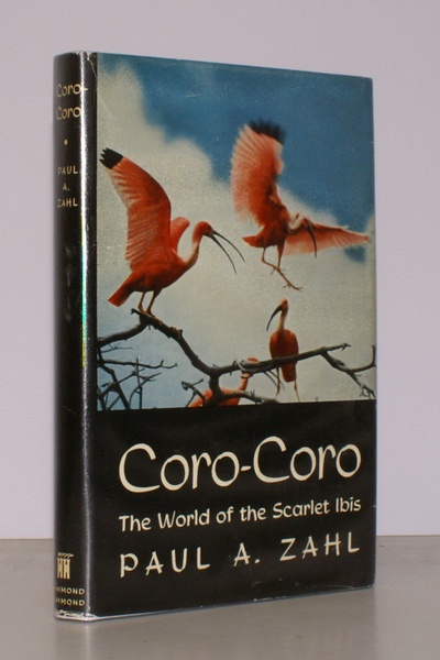 Coro-Coro. The World of the Scarlet Ibis. [First UK Edition].