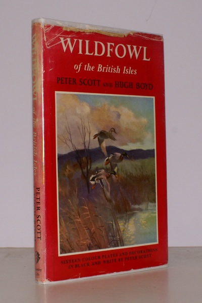 Wildfowl of the British Isles.