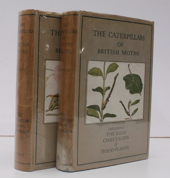 The Caterpillars of the British Moths including the Eggs, Chrysalids …