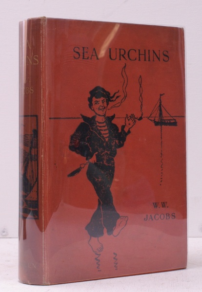 Sea Urchins. Sixteenth Edition.