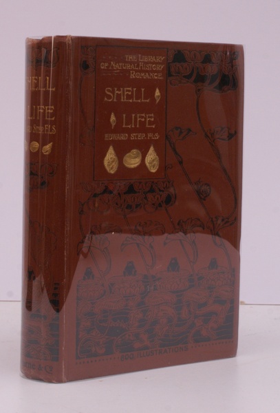 Shell Life. An Introduction to the British Mollusca. REMARKABLY BRIGHT, …