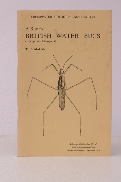 A Revised Key to the British Water Bugs (Hemiptera-Heteroptera). with …