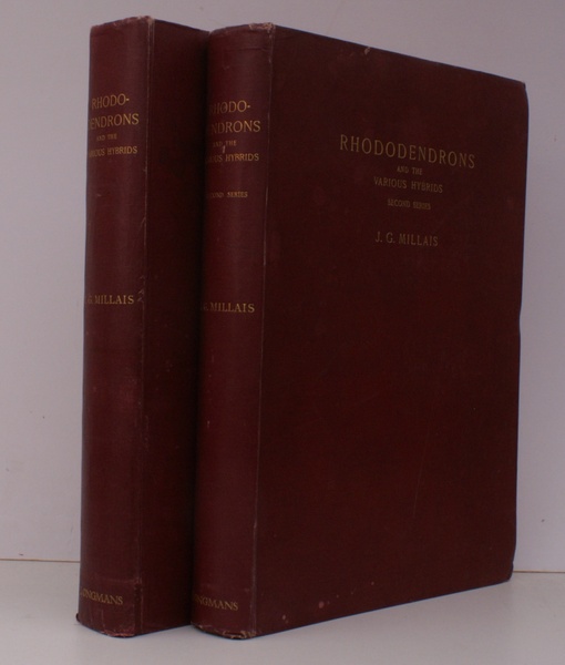 Rhododendrons [First and Second Series complete]. in which is set …