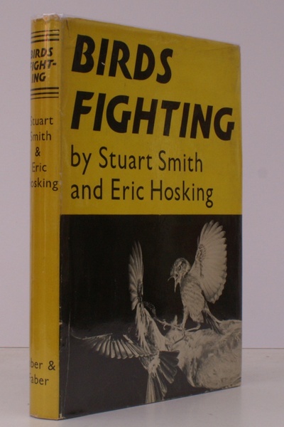 Birds Fighting. Experimental Studies of the Aggressive Displays of some …