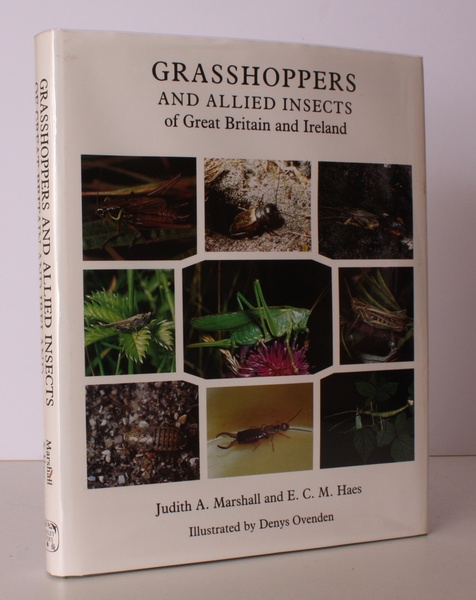 Grasshoppers and Allied Insects of Great Britain and Ireland. With …