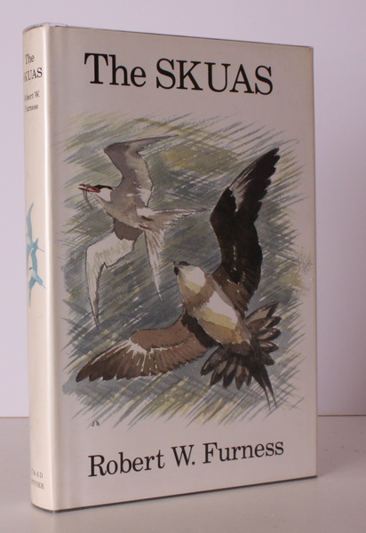 The Skuas. Illustrated by John Busby. NEAR FINE COPY IN …