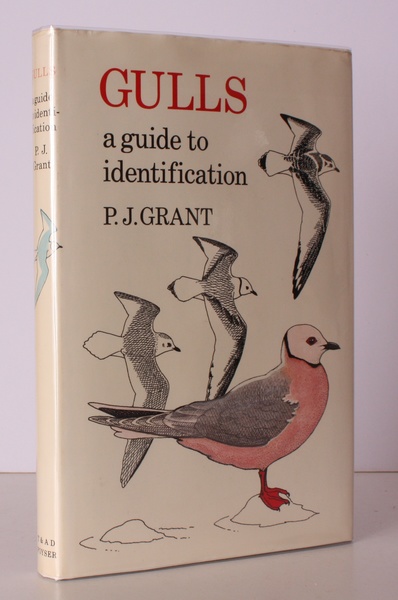 Gulls. A Guide to Identification. Illustrated by the Author. NEAR …