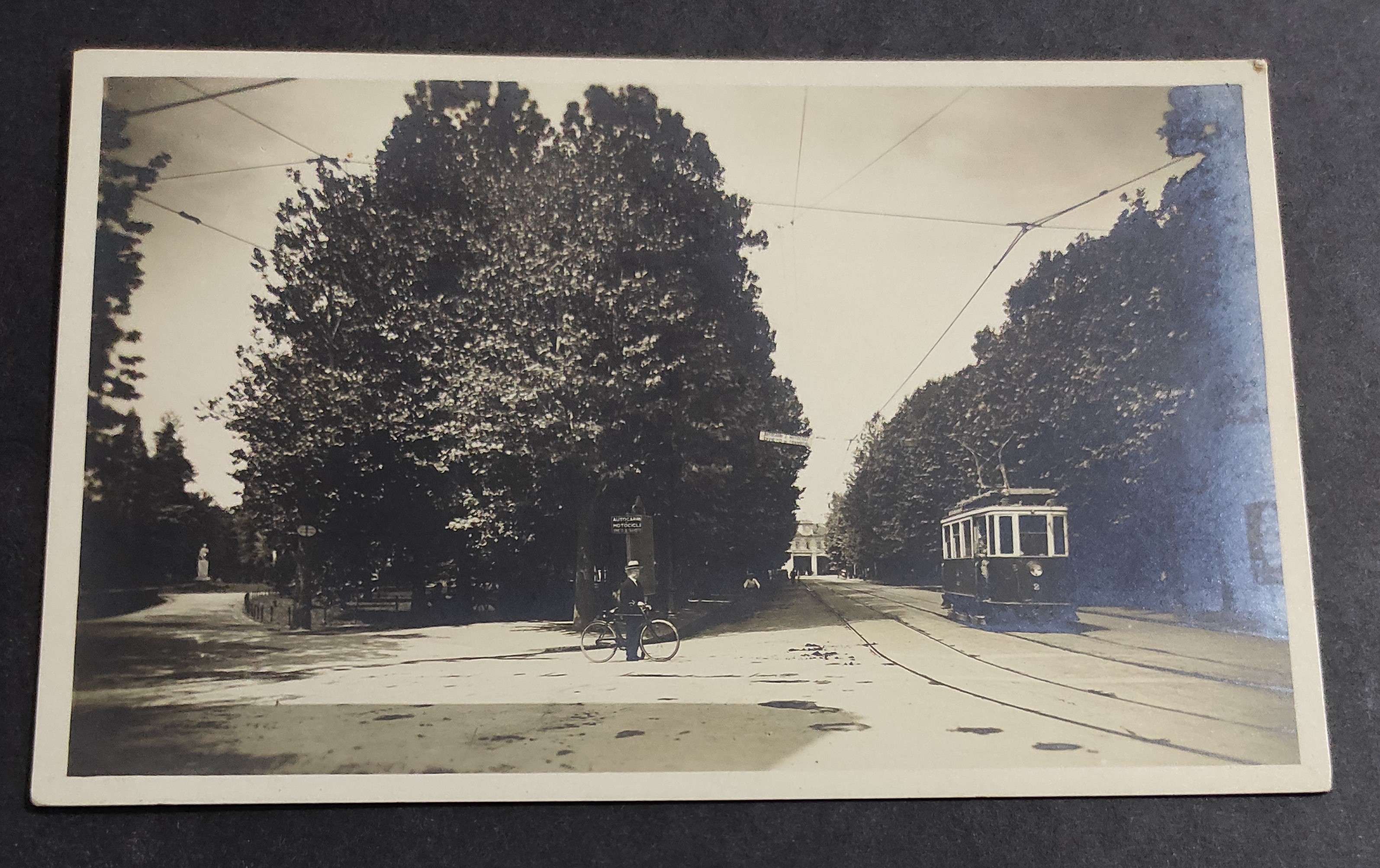 Cartolina Alessandria - Viale alla Stazione