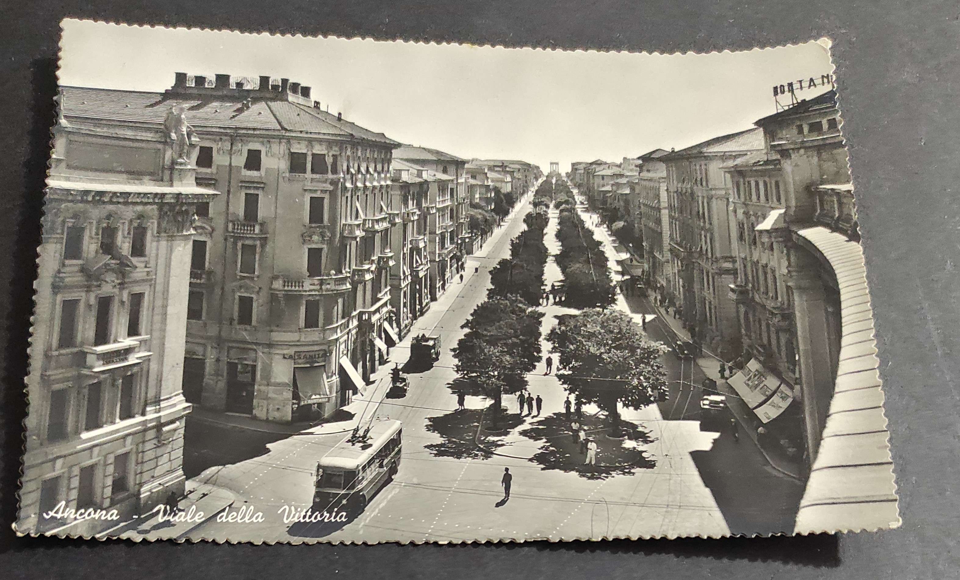 Cartolina Ancona - Viale della Vittoria