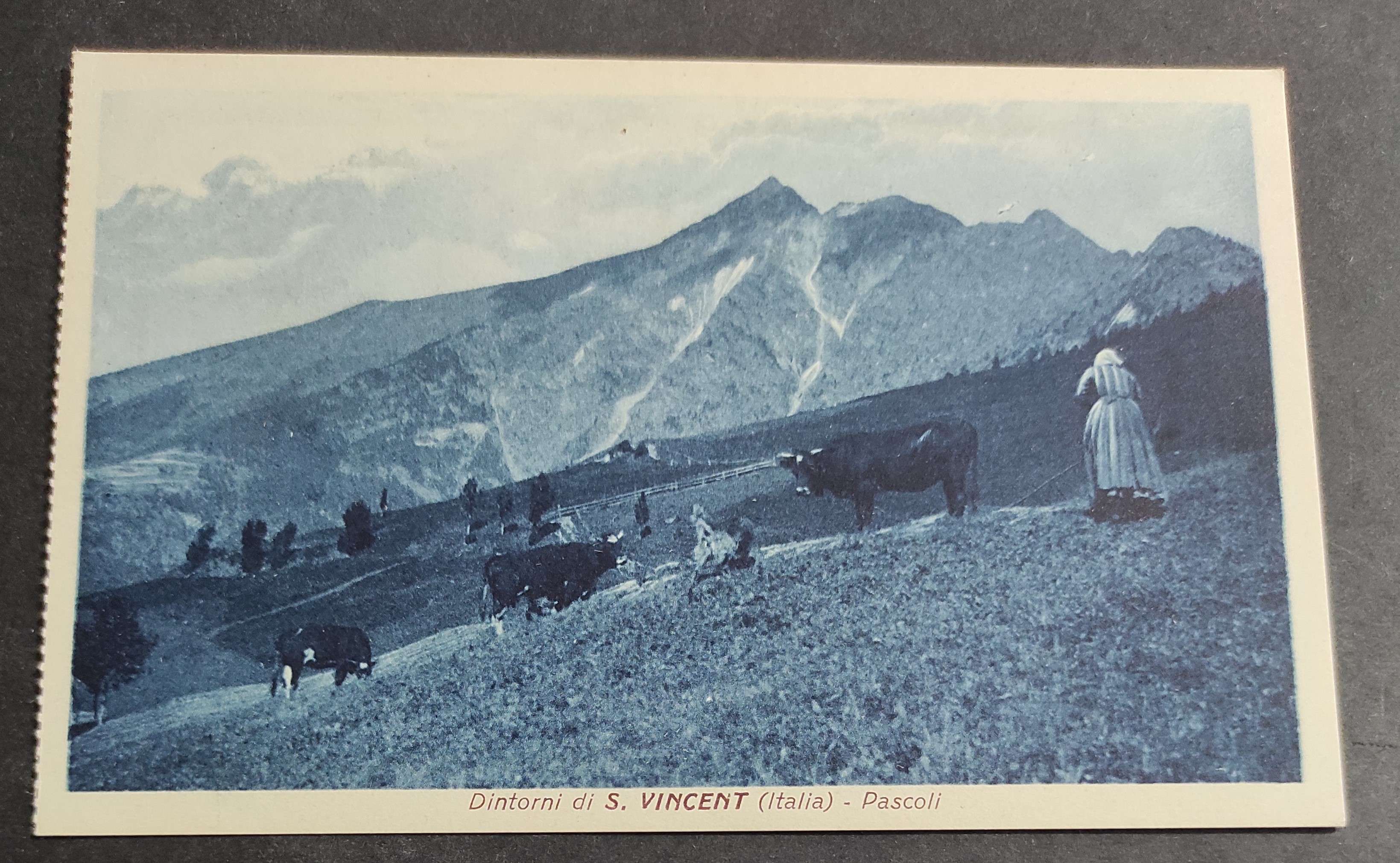 Cartolina Dintorni di S: Vincent (Italia) - Pascoli