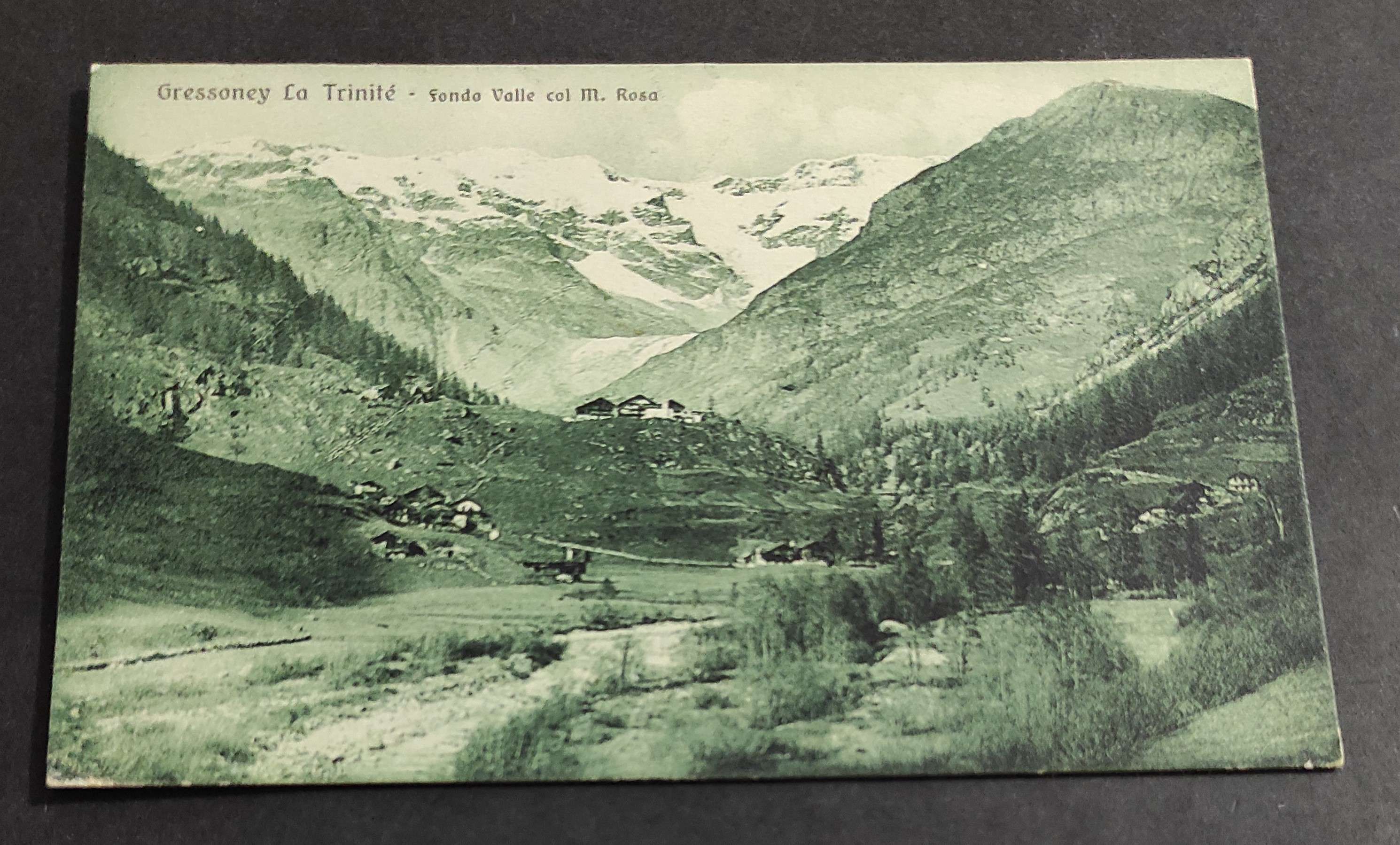 Cartolina Gressoney La Trinité - Fondo Valle col M. Rosa