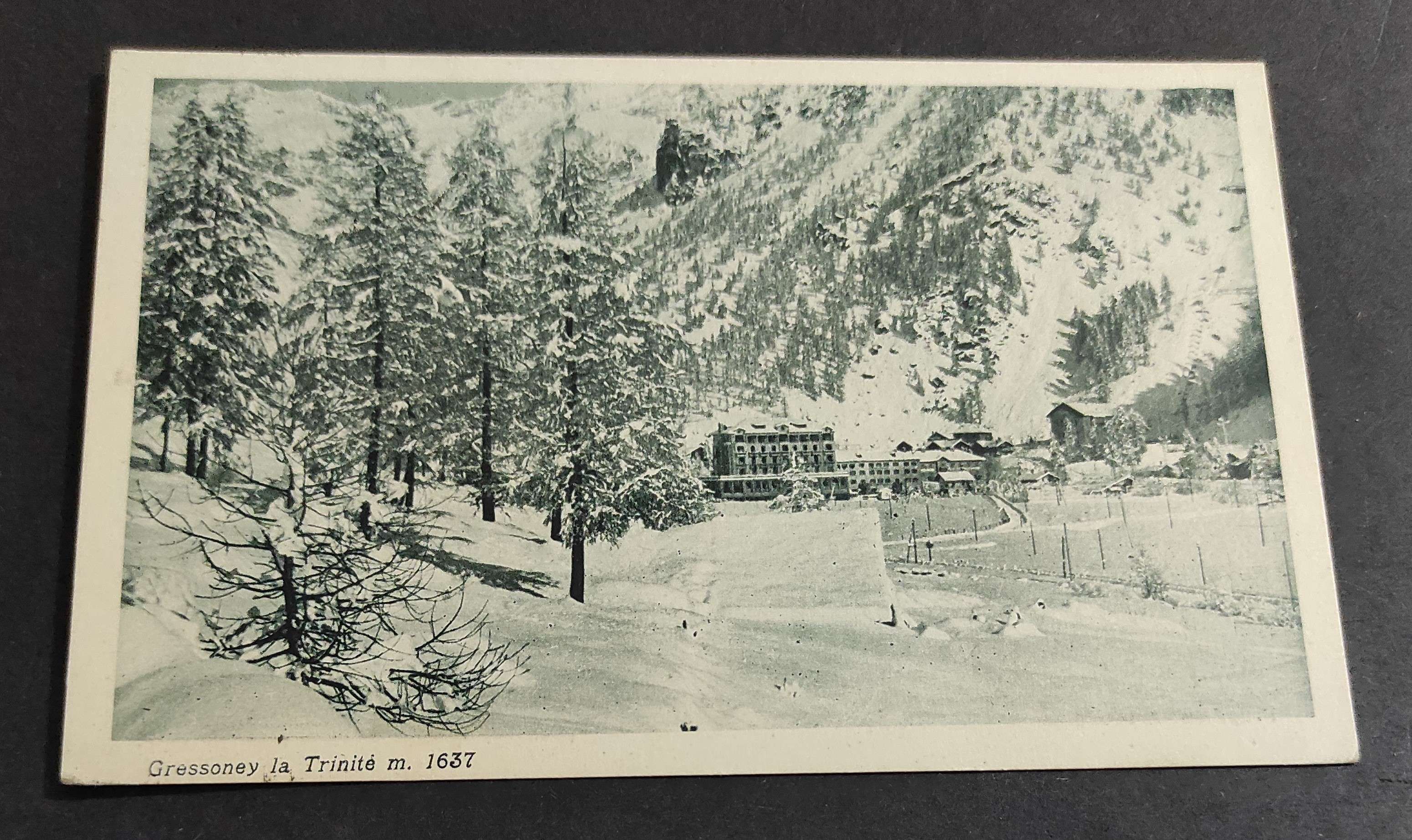 Cartolina Gressoney La Trinité - Grand Hotel Busca Thedy
