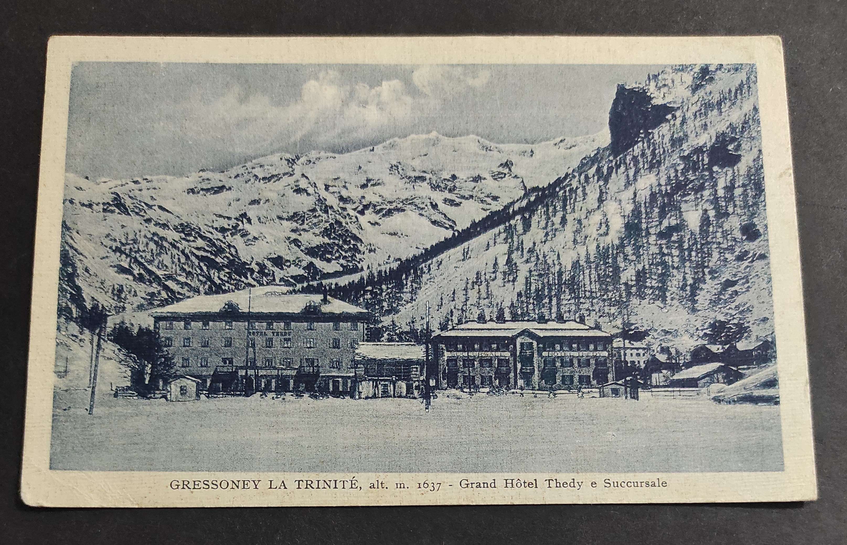 Cartolina Gressoney La Trinité - Grand Hotel Thedy e Succursal