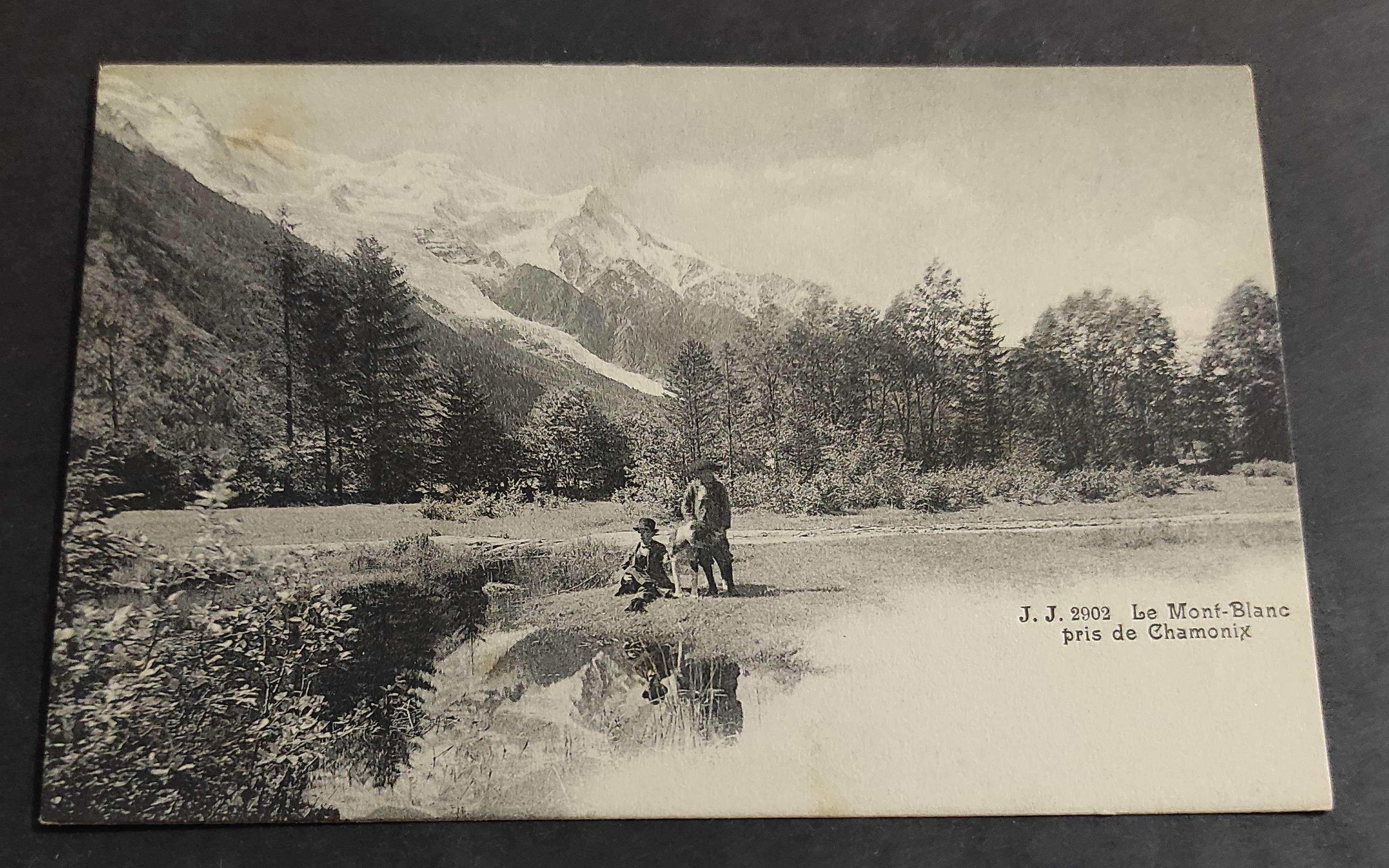 Cartolina Le Mont-Blanc pris de Chamonix