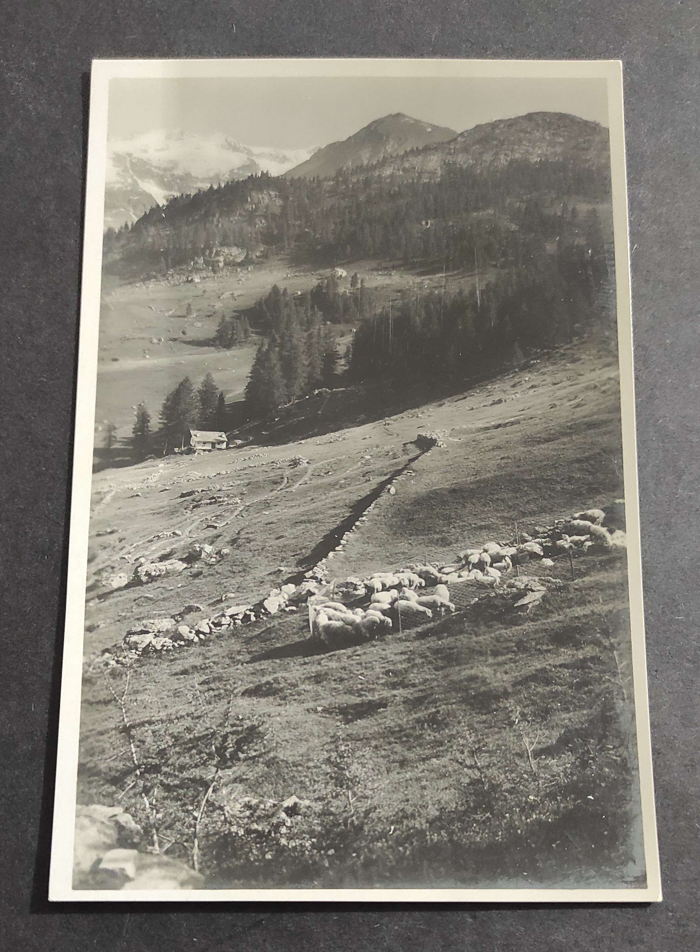Cartolina Valle d'Aosta - Sui Monti di Gressoney - Alpe …