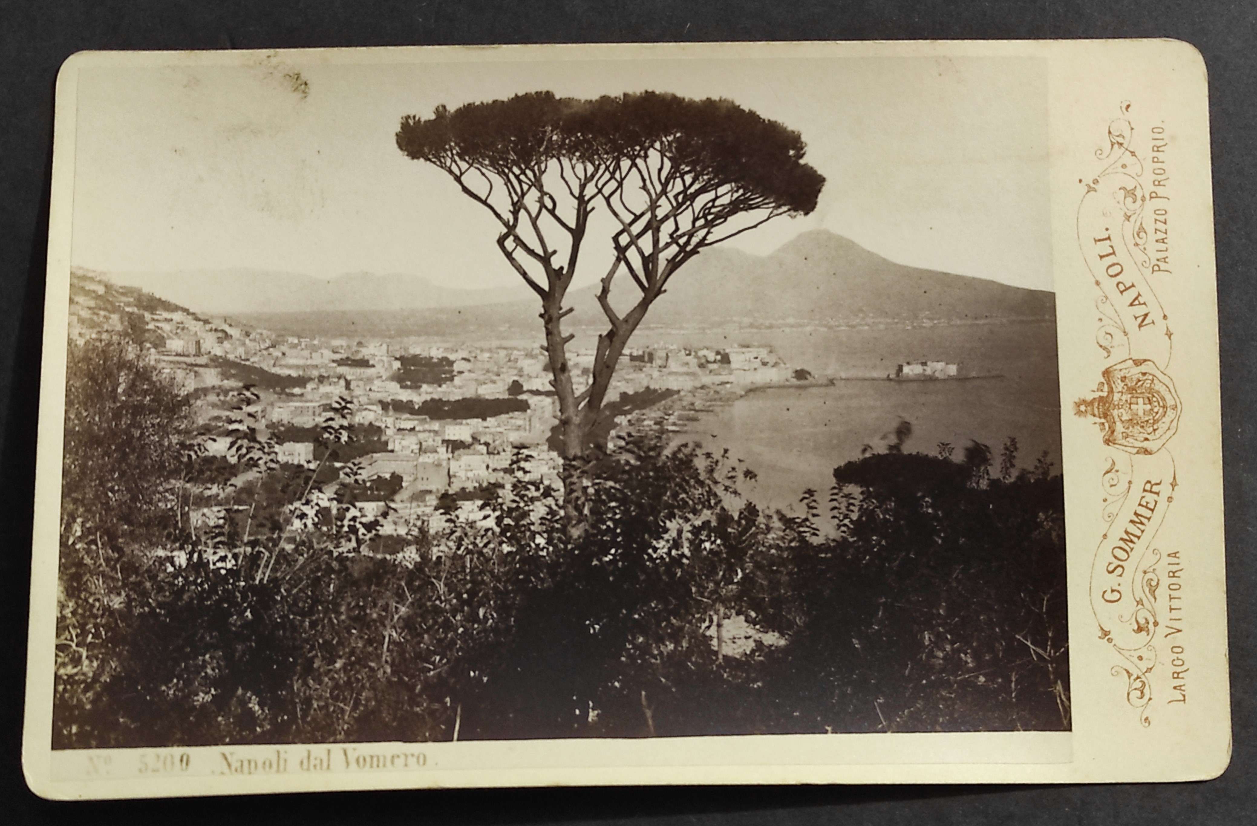 Fotografia Originale Su Cartoncino Napoli dal Vomero - Fot. G …