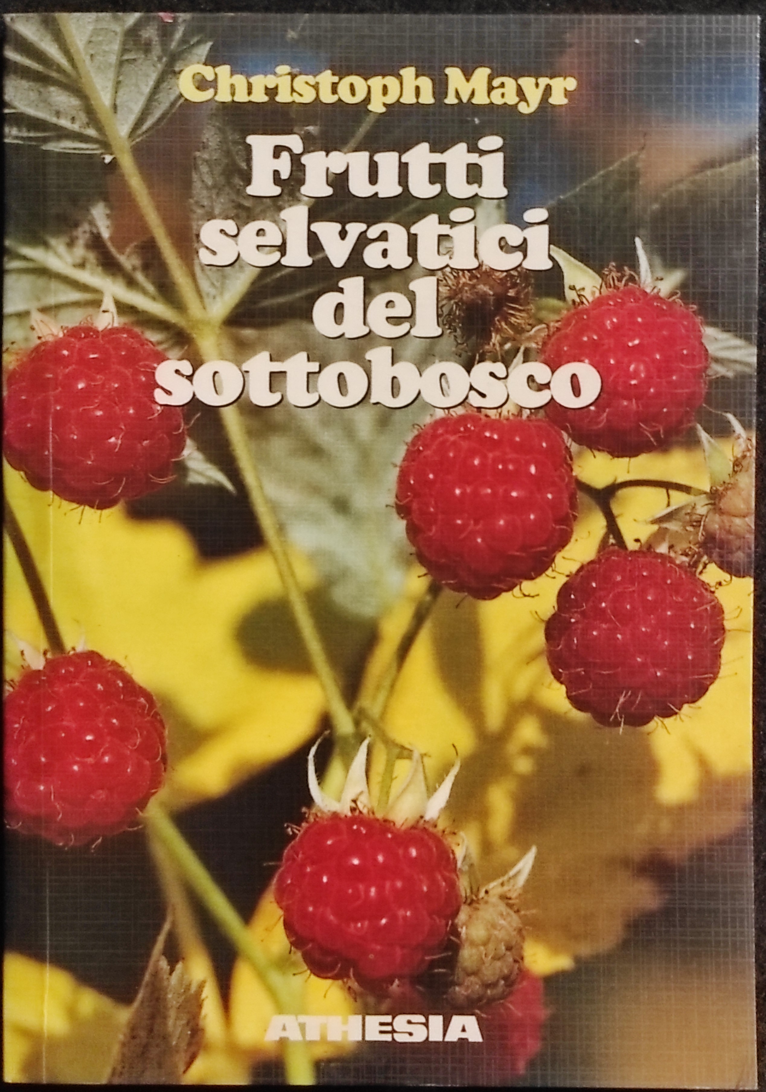 Frutti Selvatici del Sottobosco